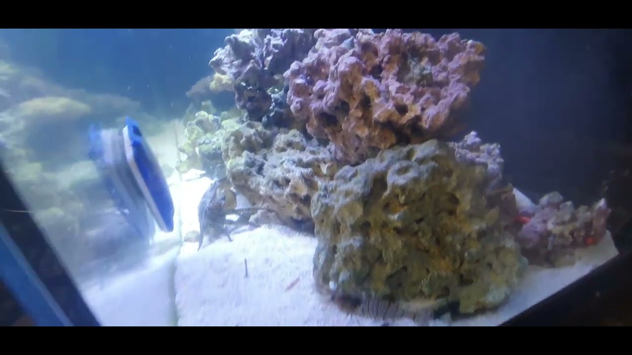 North Sea survival tank