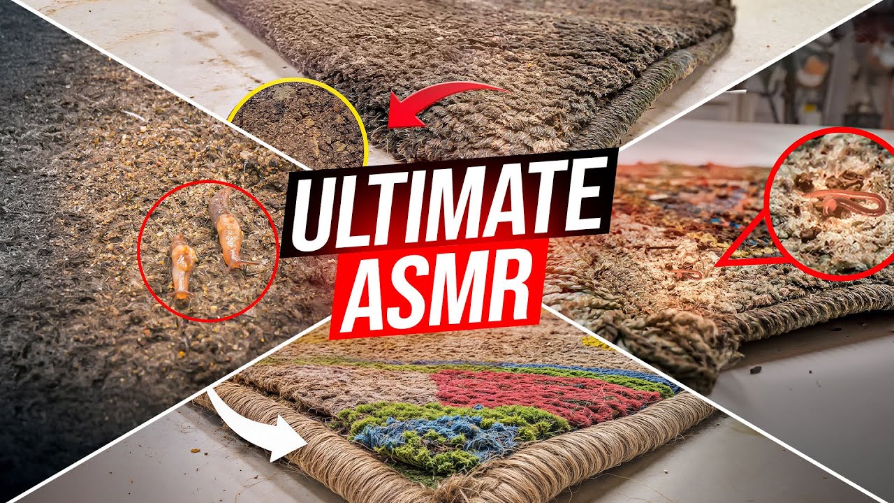 Grab A Hot Drink And Relax To This Super Satisfying Squeegee Compilation!