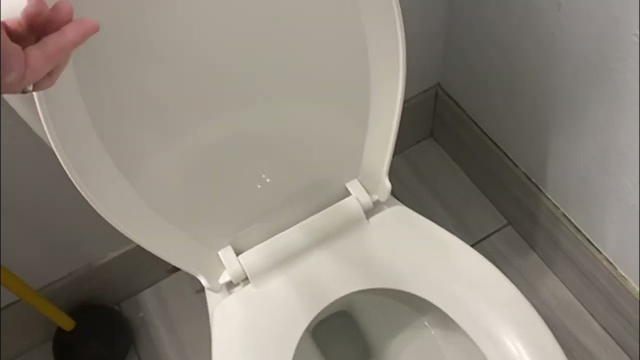 PROFLO PFTSEC2000WH PROFLO PFTSEC2000 Elongated Closed Front Toilet Seat with Quick Release and Easy