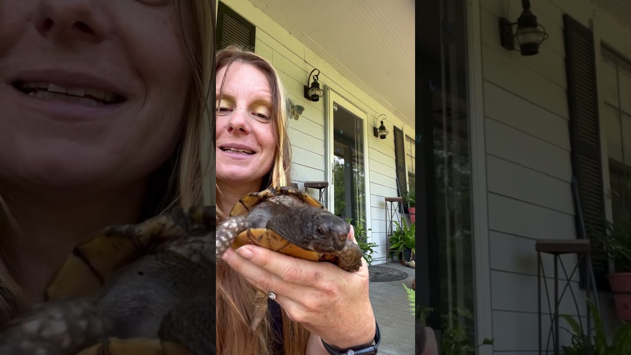 Happy World Turtle Day - Meet Mo!