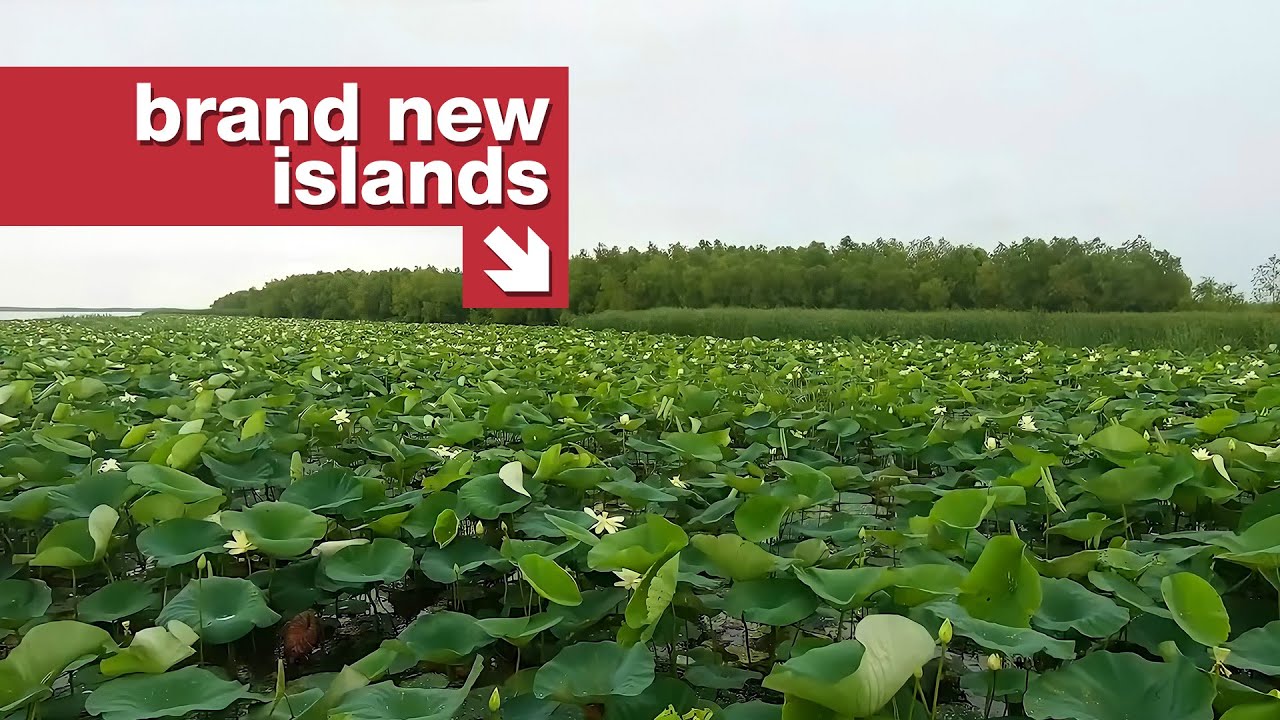 The only bit of Louisiana's coast that isn't sinking