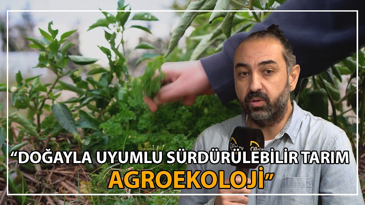Agroekolojinin Gereklilikleri / Doğal Tarımdan Farkı / İklim Dostu Çözümler
