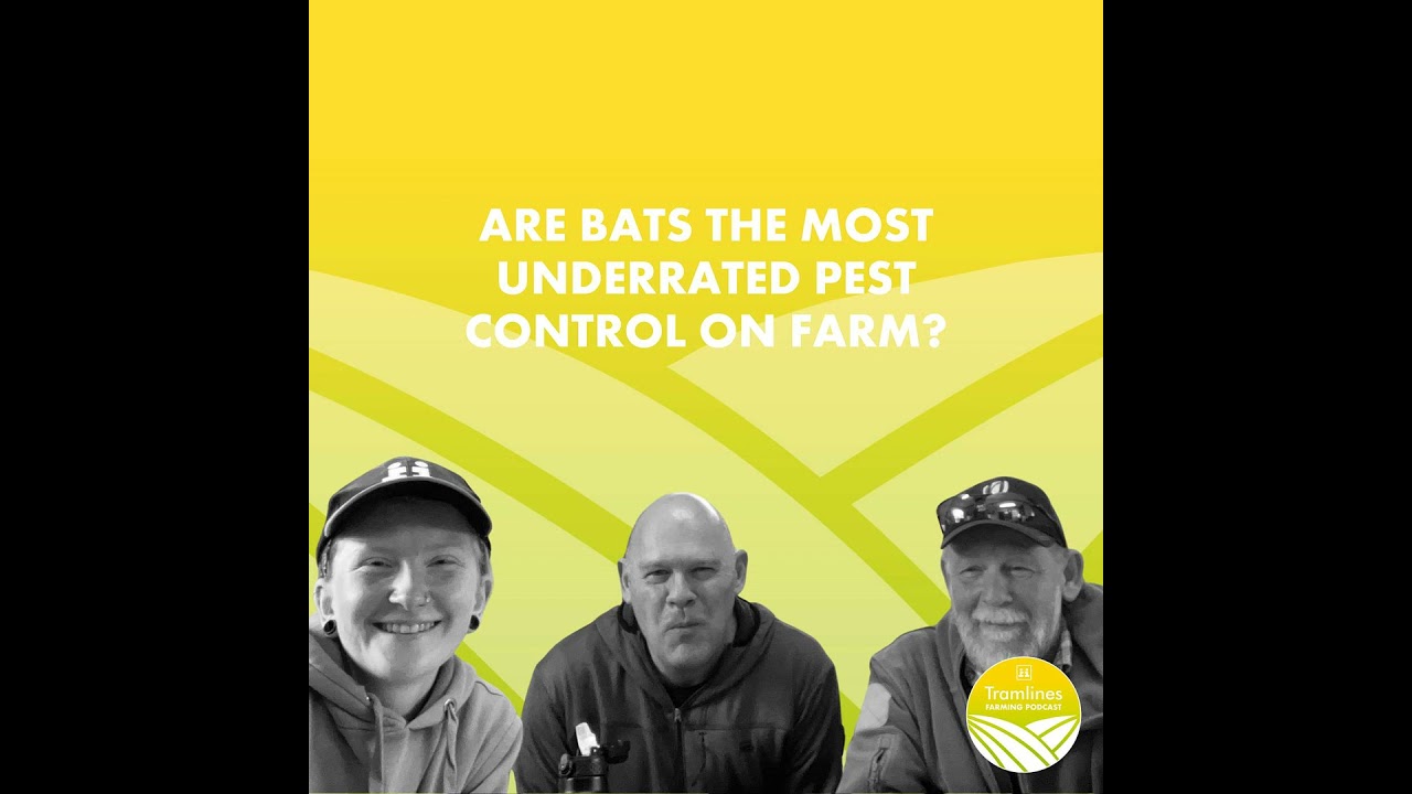 Are Bats the Most Underrated Pest Control on Farm?
