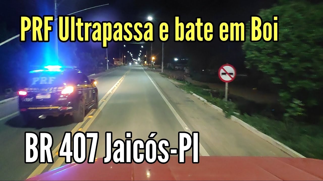 PRF ultrapassa e bate viatura em animais em Jaicos-PI EP149/2022