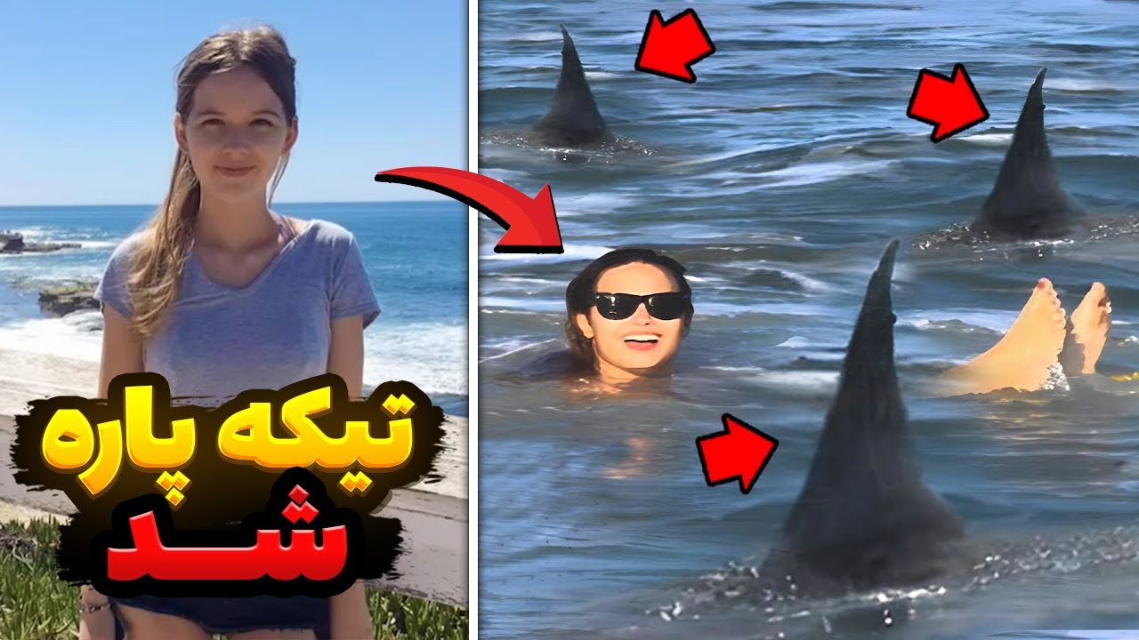 حمله واقعی و مرگبار کوسه به این دختر آمریکایی! تعطیلاتی که به کابوس تبدیل شد!