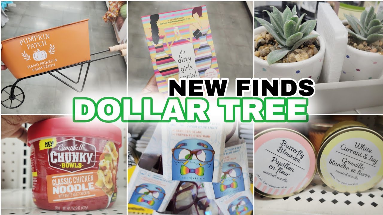 NEW FINDS DOLLAR TREE BROWSE WITH ME