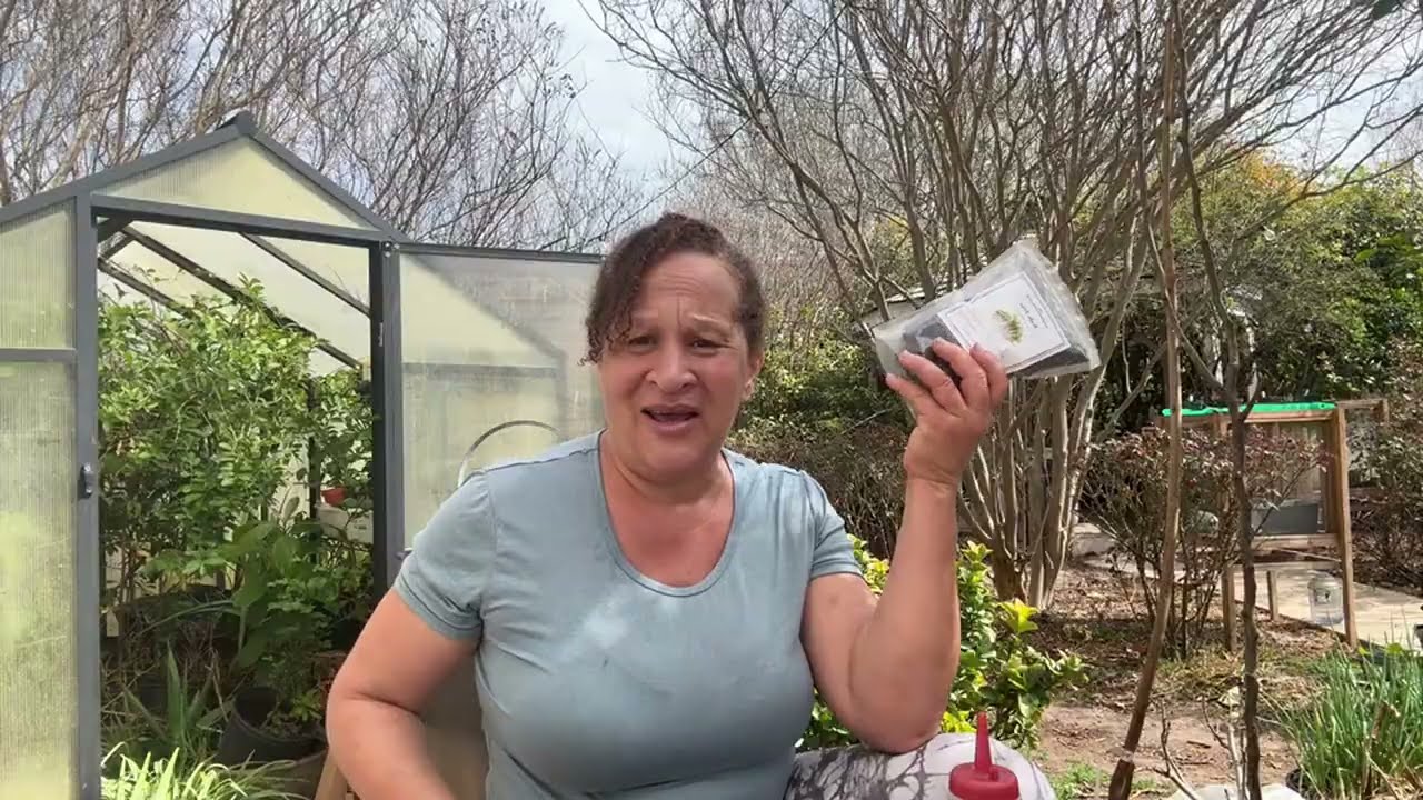 Jamerica is live! PLANTING SEEDS FOR SPRING 