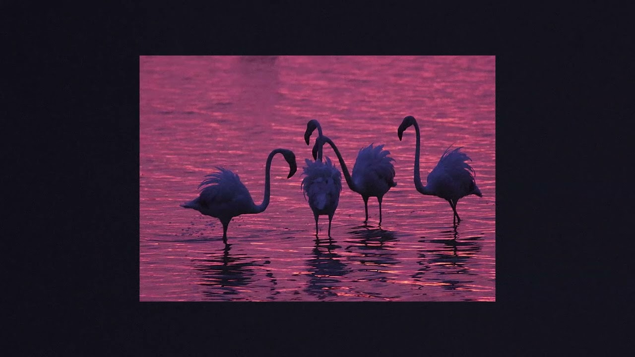 FREE* xavier omar x smino x bari x soulection type beat | 