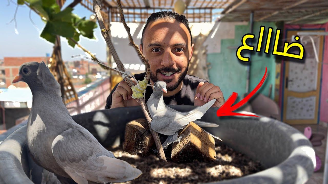 رجعت للحمام بعد غياب شهور ولاكن 🫢(ضاع بسببي )ياريت