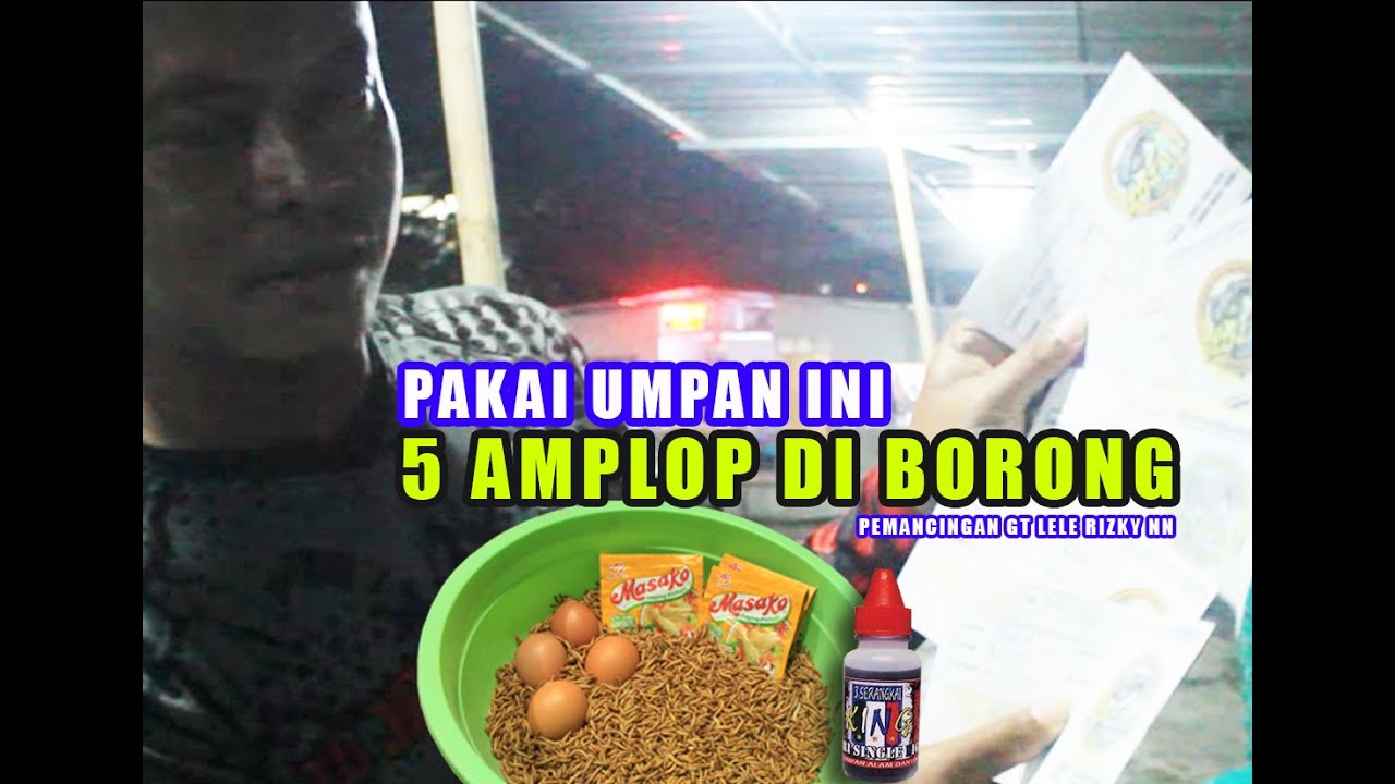 RACIKAN UMPAN  ULAT HONGKONG BIKIN KETAR KETIR LAWAN