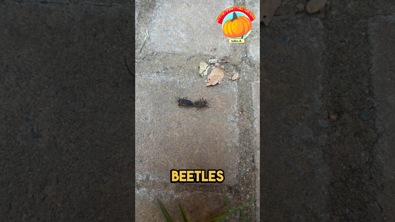 The Shocking Truth About My Most Hated Garden Pest #gardener