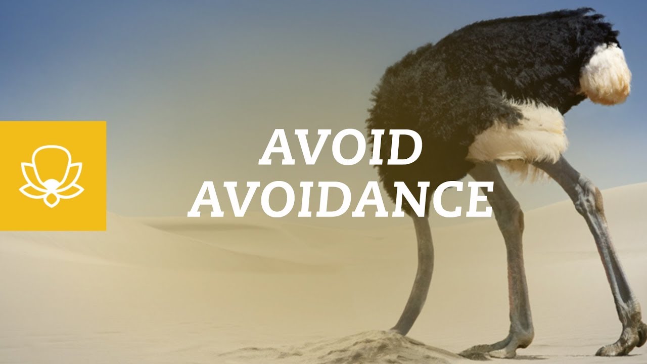 Anxiety & Avoidance: Why Coping by Avoiding Doesn't Work [Diary from a Therapist]