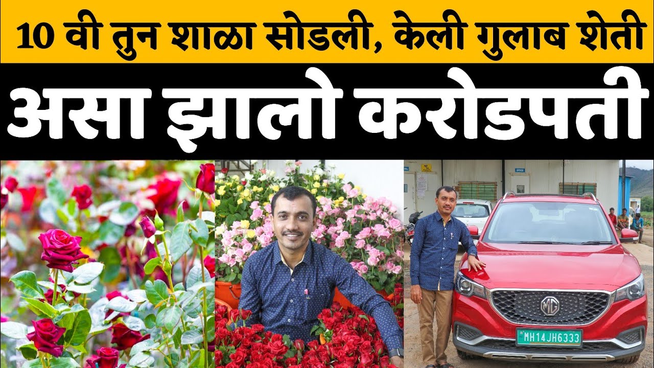 50 एकर गुलाबाची शेतीची यशोगाथा| Gulab sheti success story| Rose farming | sai rose journey