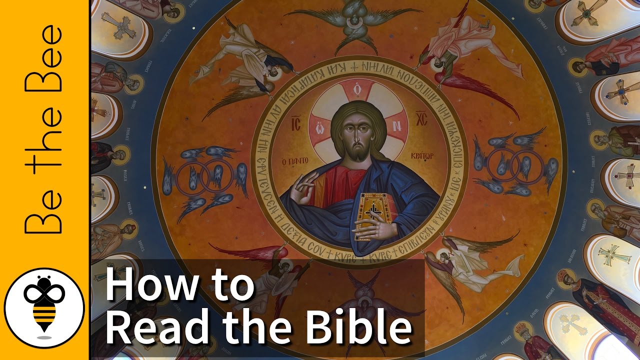 Be the Bee #128 | How to Read the Bible