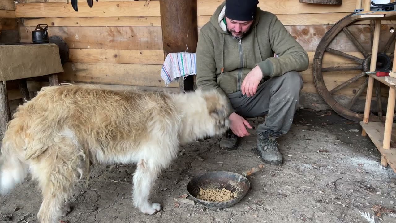 O zi liniștită la țară  Foc, ceai cald și timp pentru mine