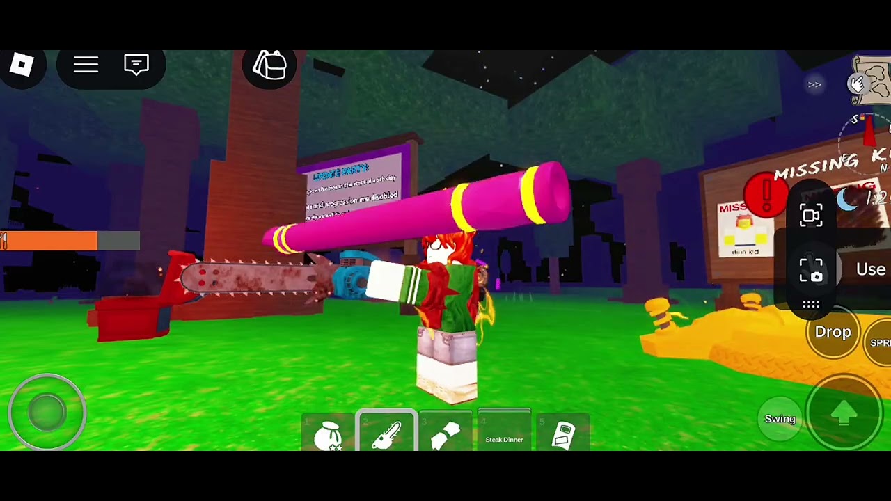 Roblox game play 