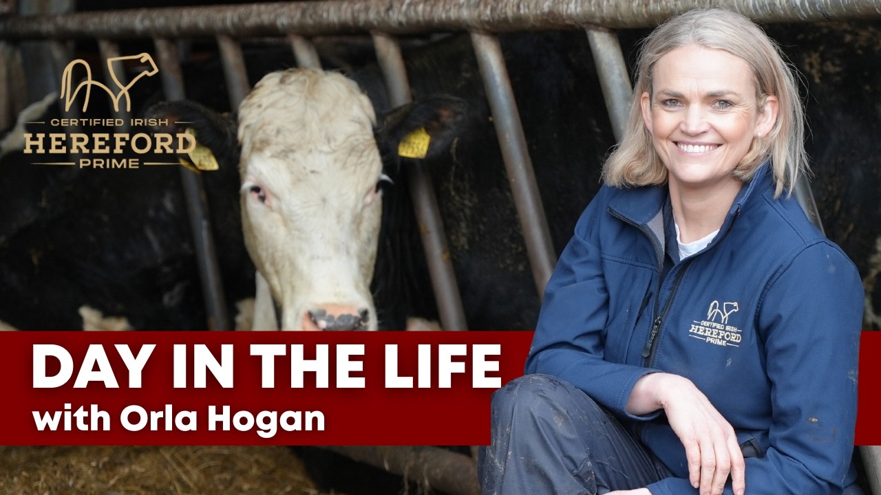 “Farming Chose Me, I Didn’t Choose It” – Orla Hogan | Women in Irish Farming