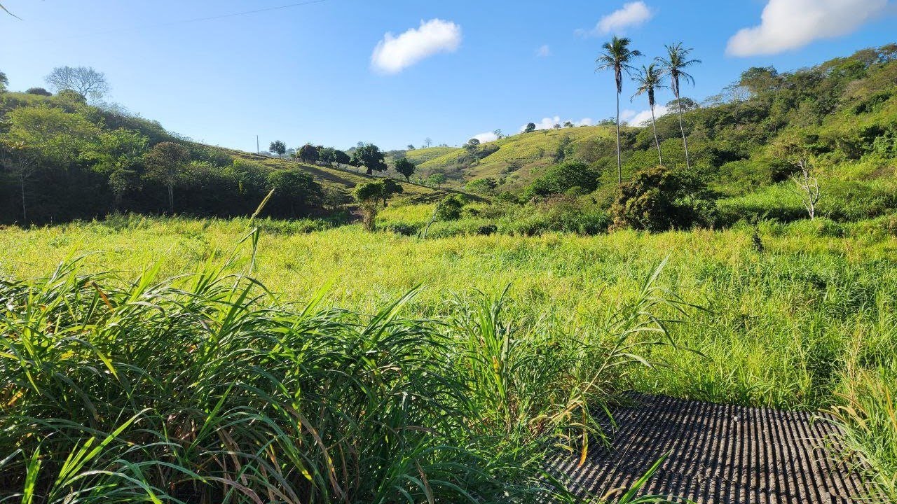 SÍTIO À VENDA EM JOÃO ALFREDO - PE 8,5 HECTARES COM ESCRITURA