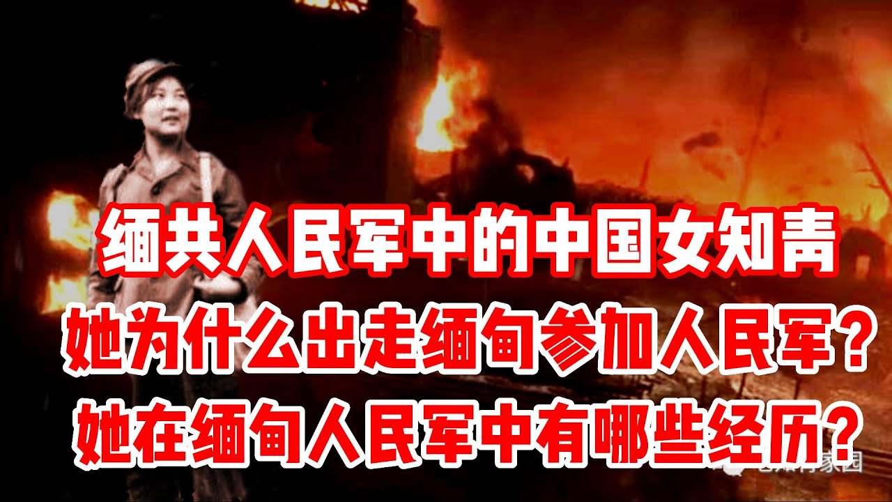 缅共人民军中的中国女知青  -- 她为什么出走缅甸参加人民军？她在缅甸人民军中有哪些经历？| 50多年前鲜为人知的故事，听了让人唏嘘不已，让我们不得不同情那些埋葬在异国它乡土地的中国知青......