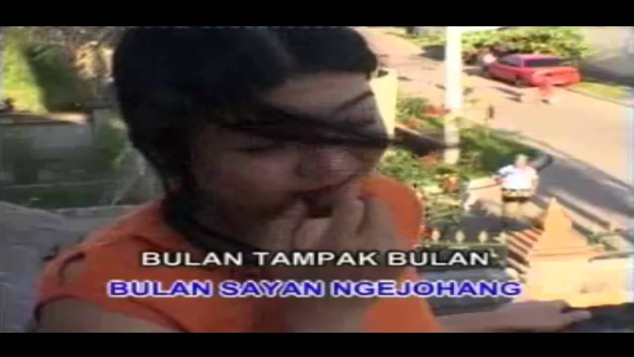 pop's bali '' LUTUNG PURUH blibaluk