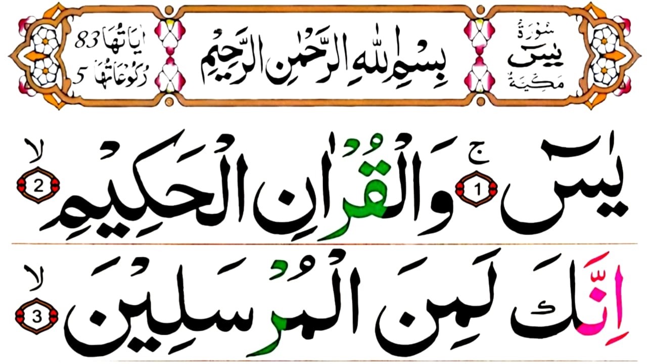 Surah Yaseen | Beautiful & Soothing Quran Recitation | Ep.550 @piam121 #quran#yaseen#recitation