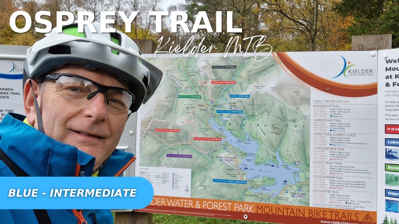 Is the Osprey Trail at Kielder Water and Forest Park for you?