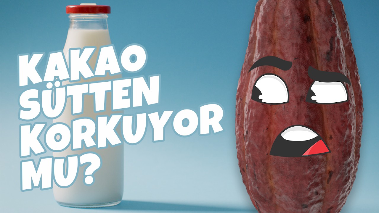 Sadece Süt ve Kakao ile Çok Şaşıracağınız Bir Deney Yaptım 🧪🥛🍫