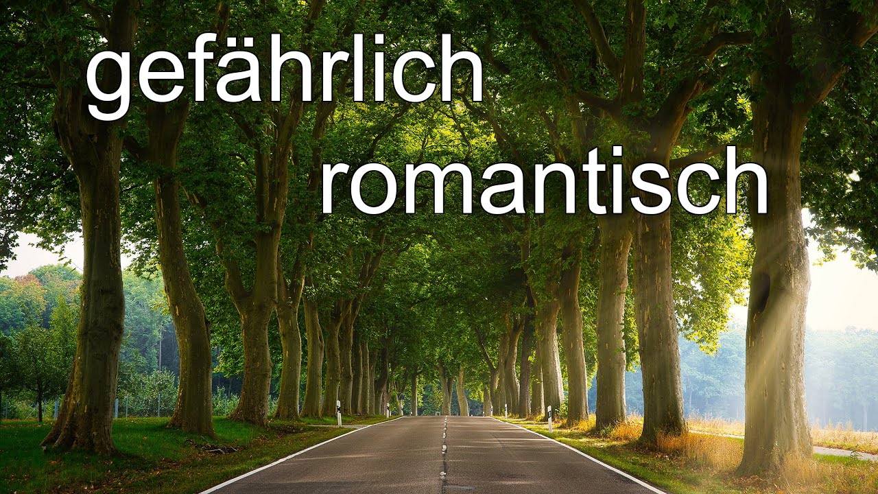 FOTO to GO 24 📸 Allee fotografieren und mit Luminar AI heftig verbessern!