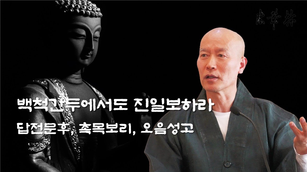 차담_백척간두에서도 진일보하라