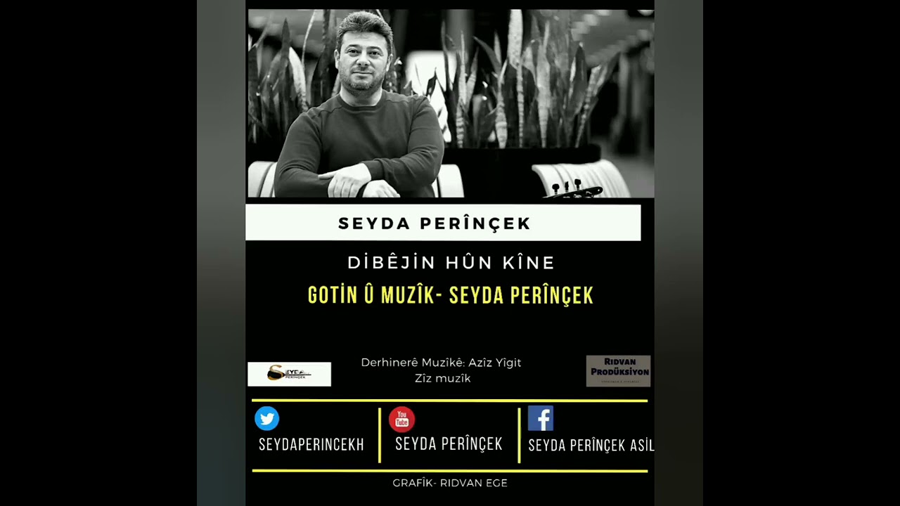 Seyda Per&icirc;n&ccedil;ek - Dib&ecirc;jin H&ucirc;n K&icirc;ne