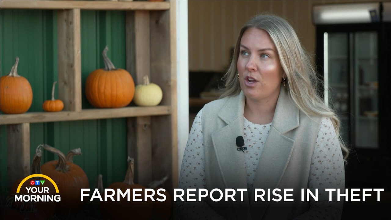 Ontario Farmers Report Surge in Theft | Your Morning