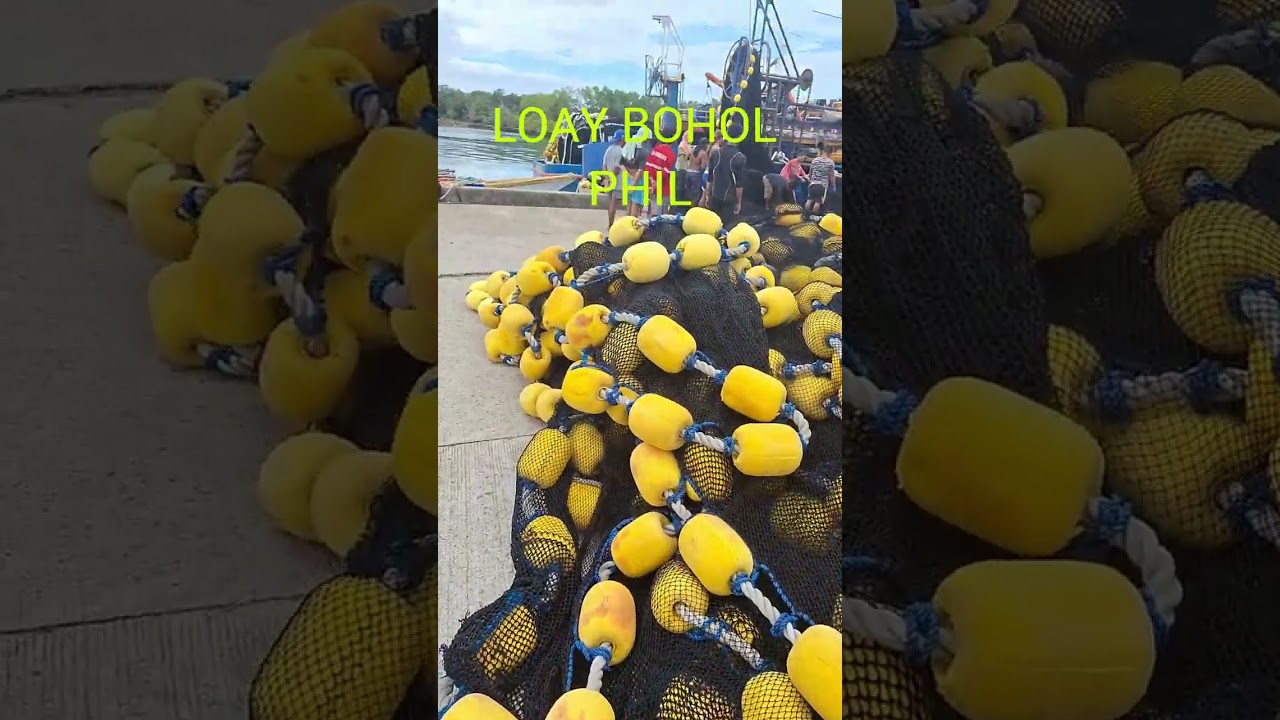 Loay Bohol  Fishing Boats #supportlocal #fishing #seafoods #seafoodslover