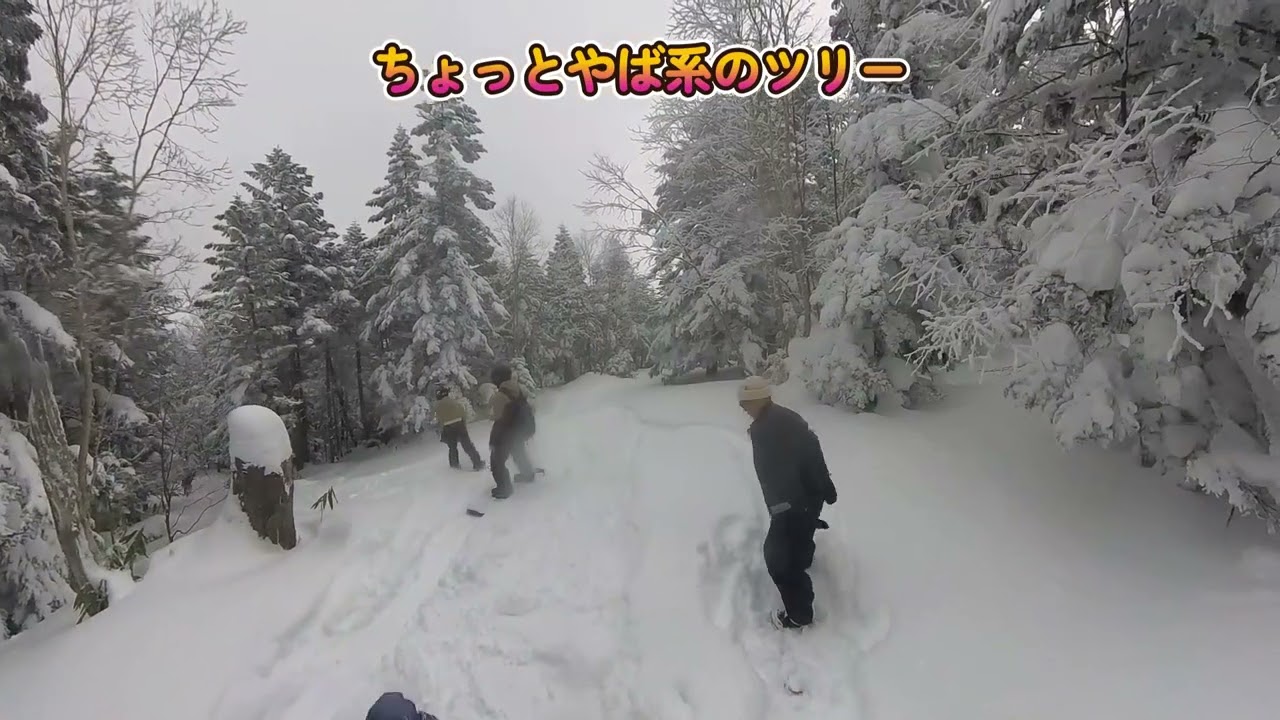 [SnowBoard] まさかの再会で当日参加の滑ろう会 ツリーも楽しかったパルコール嬬恋 in 20260124