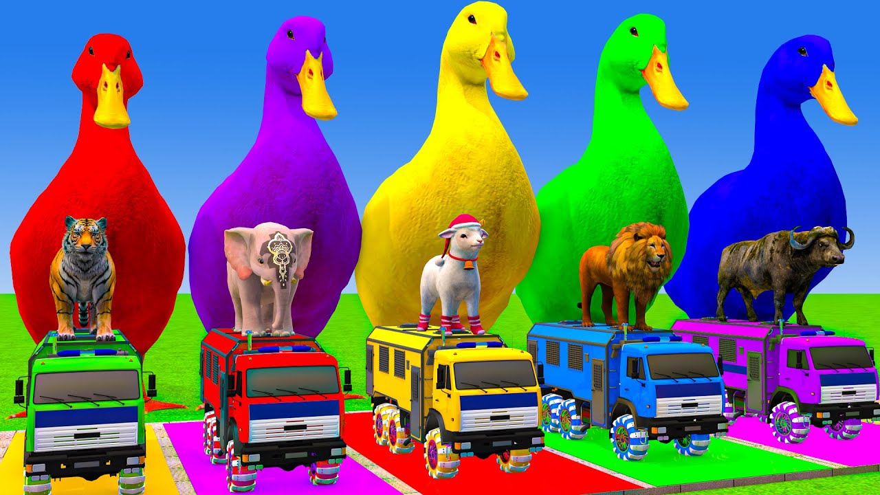 Long Slide Game With Cow Elephant Gorilla Hippopotamus Tiger 3d Animal Game Funny 3d Animals