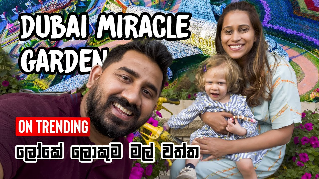 DUBAI MIRACLE GARDEN & BUTTERFLY GARDEN | DUBAI VLOG #29.2 [ENG SUB]