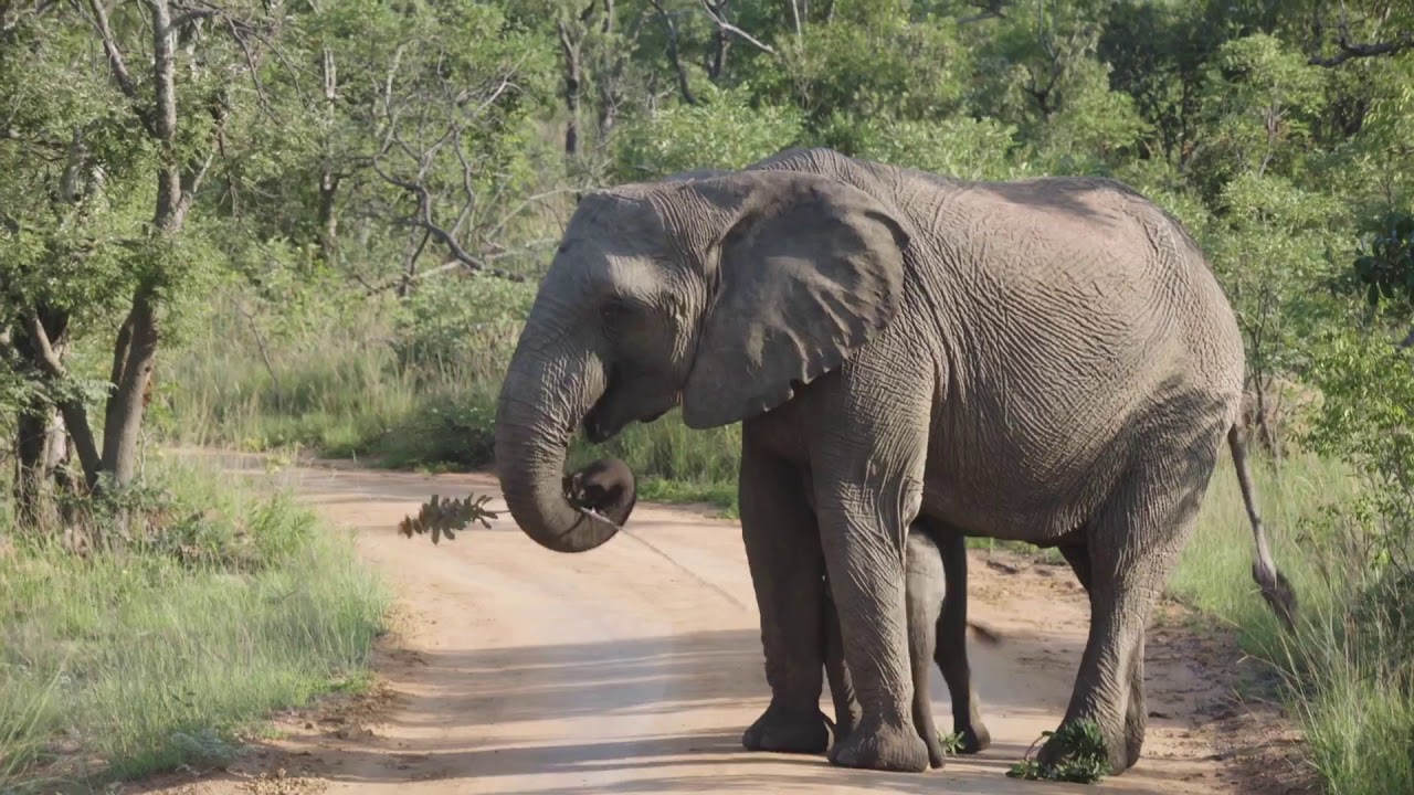 Waterberg District