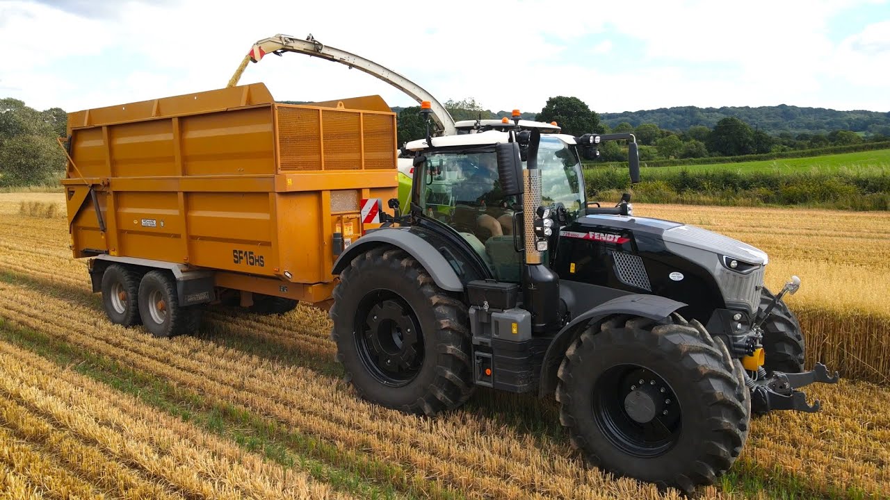 Whole Crop Oats 2023. Black Fendt 728