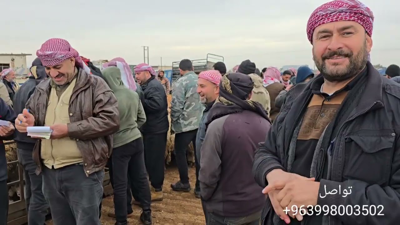جوله جديده في اسواق المواشي في ادلب معره مصرين 6\2\2026 اسعار اللحم وغنم الجنيه والخراف السرحيه 