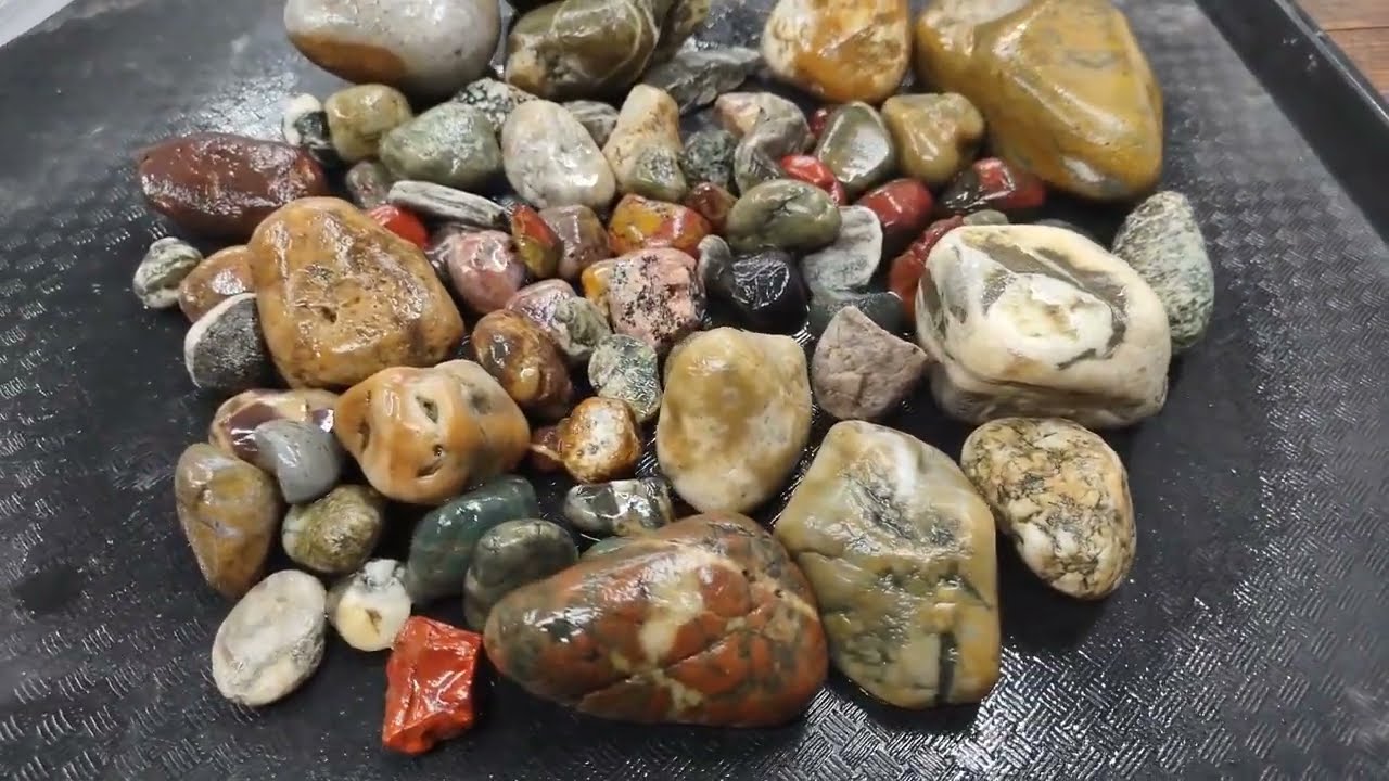 Cutting open rocks from the ocean with a Home Depot Ryobi tile saw