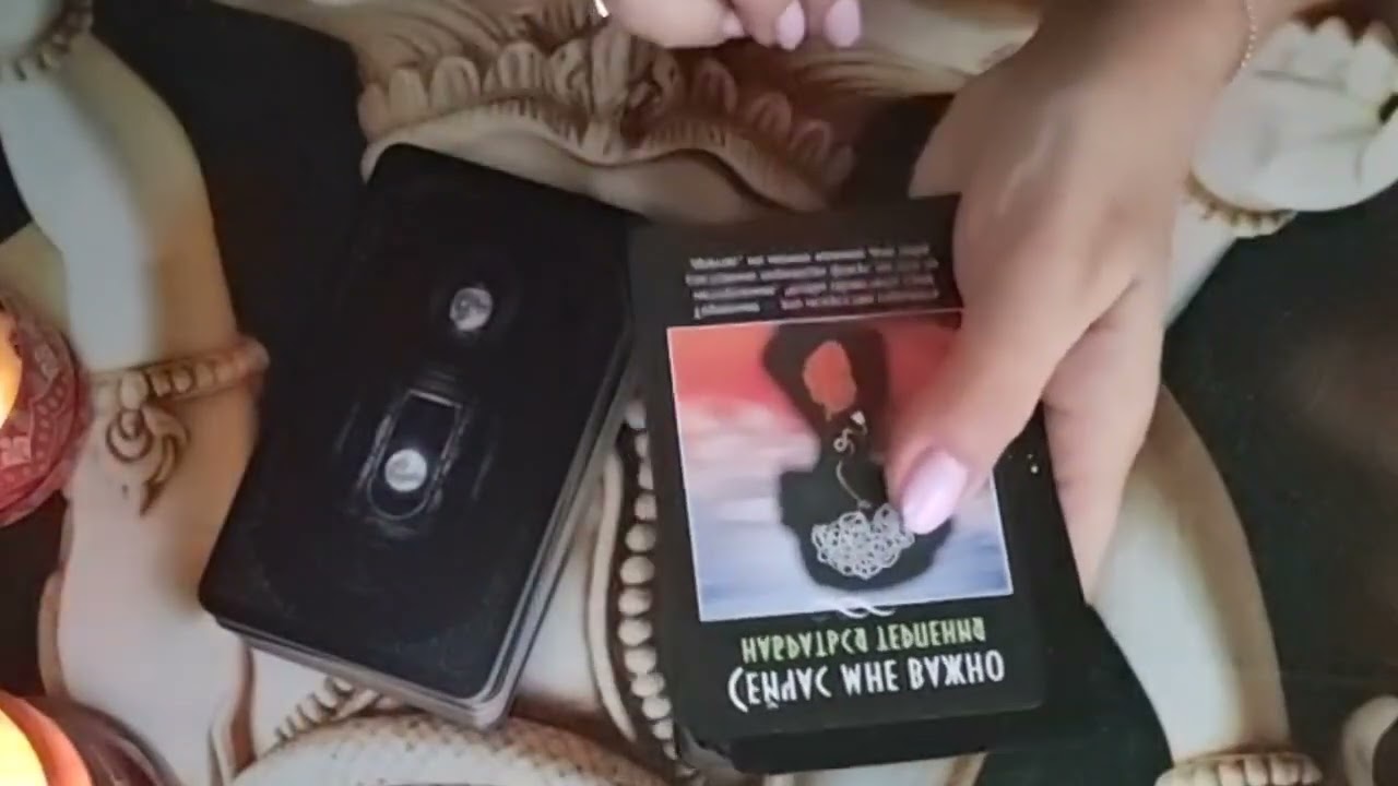 Сами выбрали 