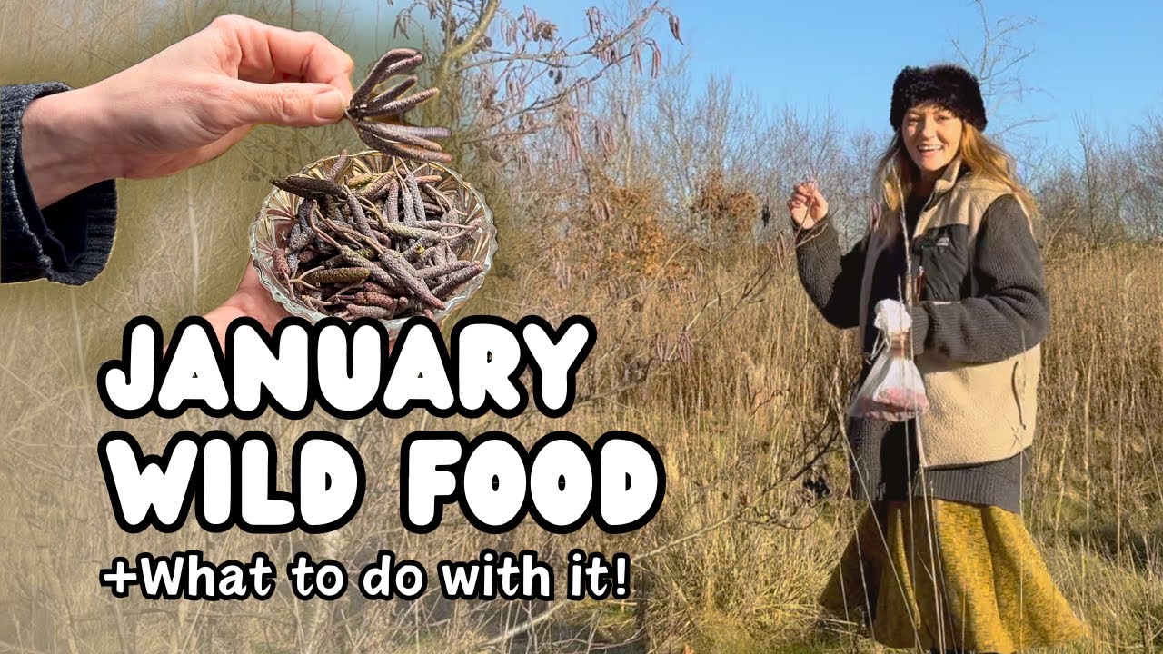 Foraging in January | Winter Wild Food + Storage Prep
