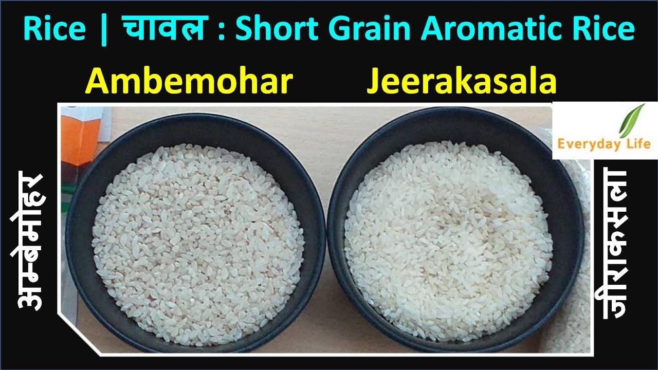 Rice | चावल | Ambemohar Rice Vs Jeerakasala Rice | Aromatic : Non-Basmati Rice | Everyday Life #93
