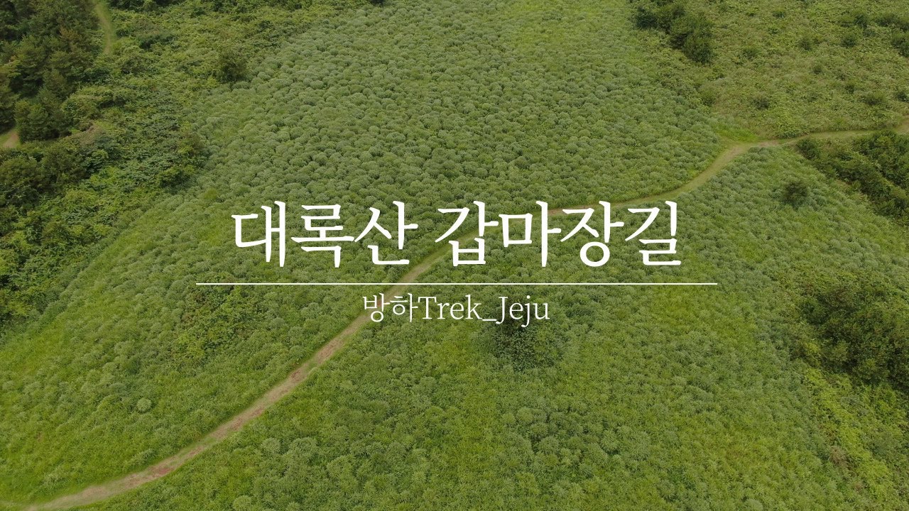 갑마장길  4K