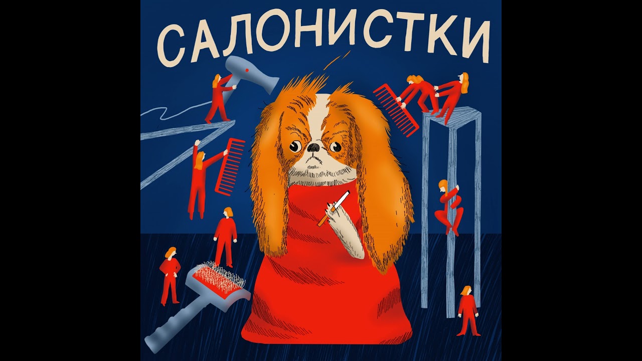 Правда о конкурсах по грумингу кошек