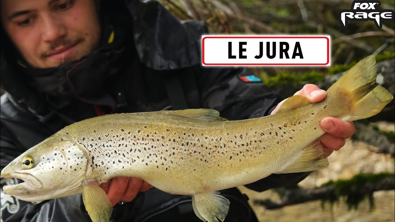 Armand Michaud vous amène dans le JURA traquer les GROSSES TRUITES 🐟