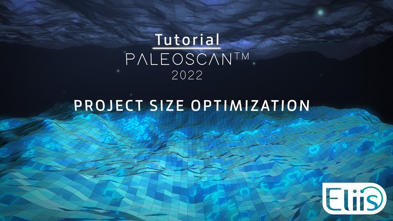 Tutorial -  PaleoScanᵀᴹ Project Size Optimization
