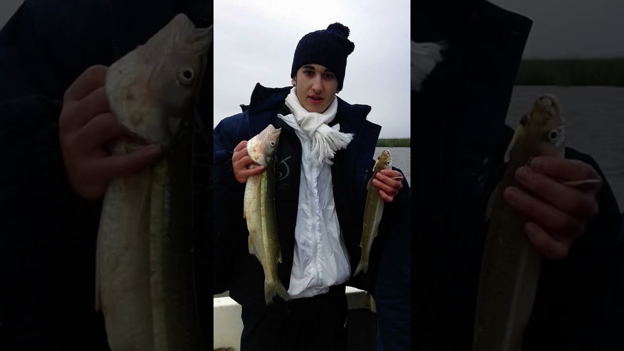 Excelente Pesca en laguna Sauce Grande consultas al 0291154121793 @leandrofabianpereira.