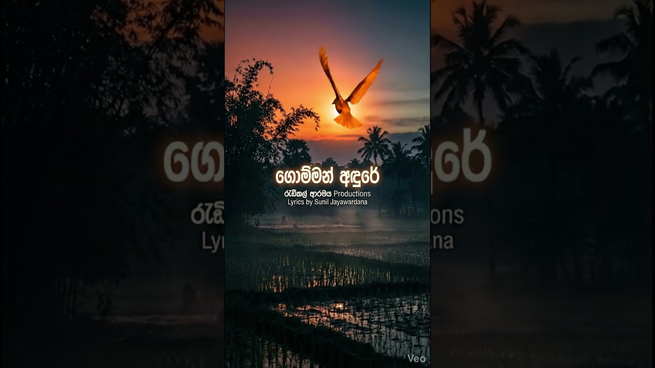 ගොම්මං අඳුරේ (Gomman Andure) || New Song 2026 || Videha & MalinSaa