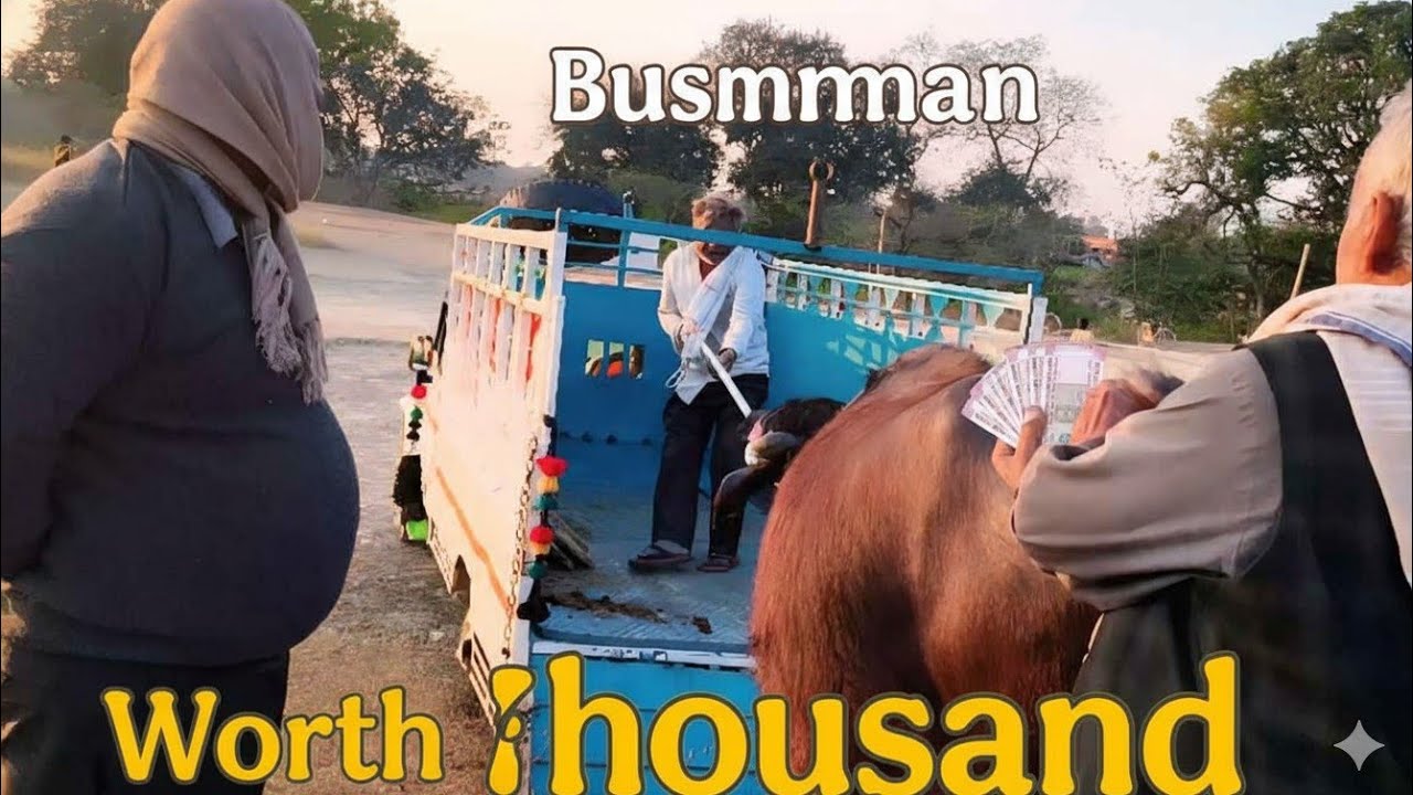  Worth 75 thousand💵💸 🤗 sell