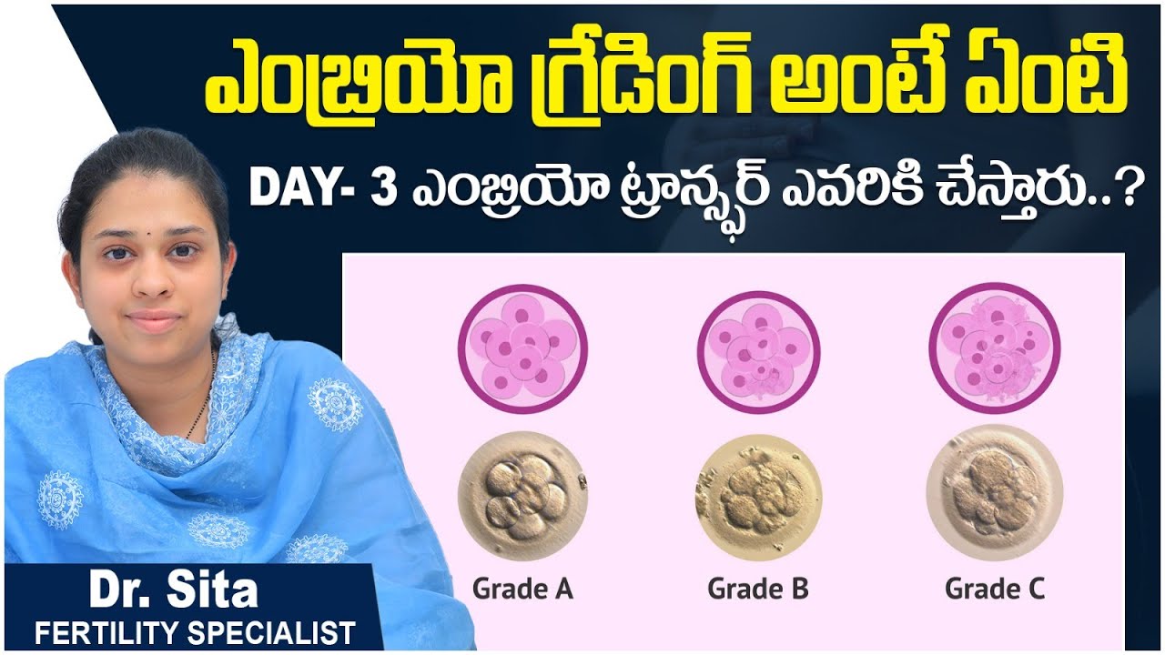ఎంబ్రియో ట్రాన్స్ఫర్ ఎప్పుడు చేస్తారు | Day 3 Embryo Transfer Success Rates Telugu | Boon Fertility